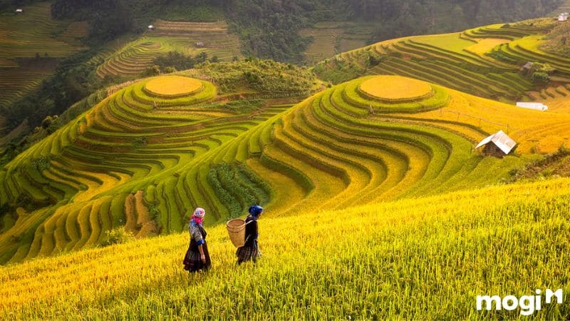 Khám phá các tỉnh Tây Bắc