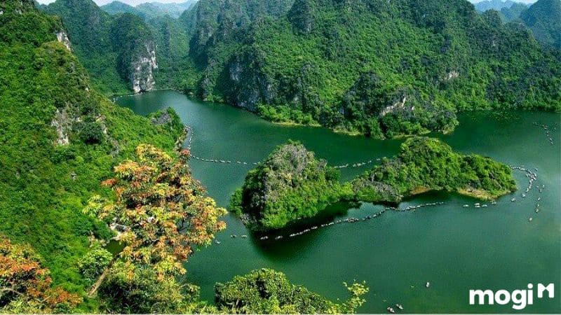 Thăm thú Ninh Bình