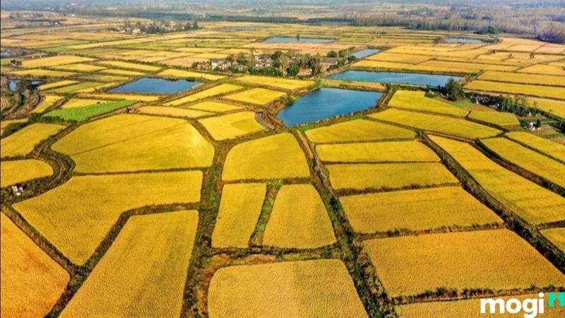 Thuế Mb6626 sảnh cược đỉnh cao