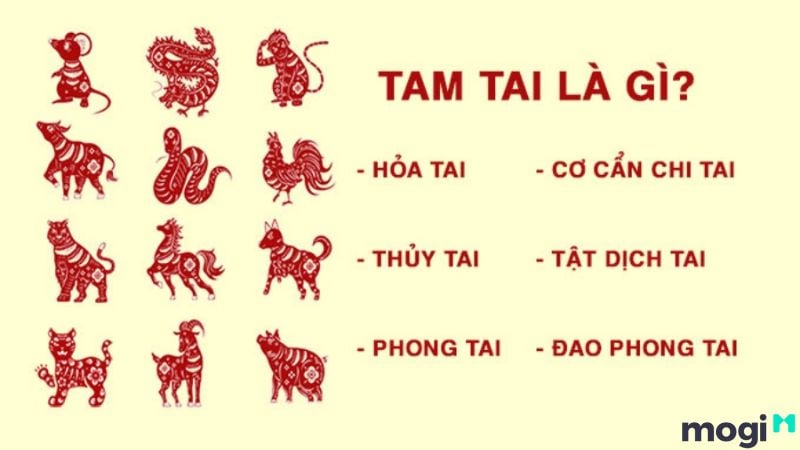Bảng năm tam tai cho tuổi Tý 1996