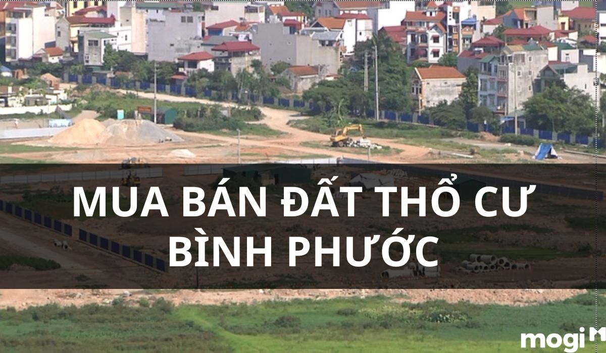 mua bán đất thổ cư Bình Phước