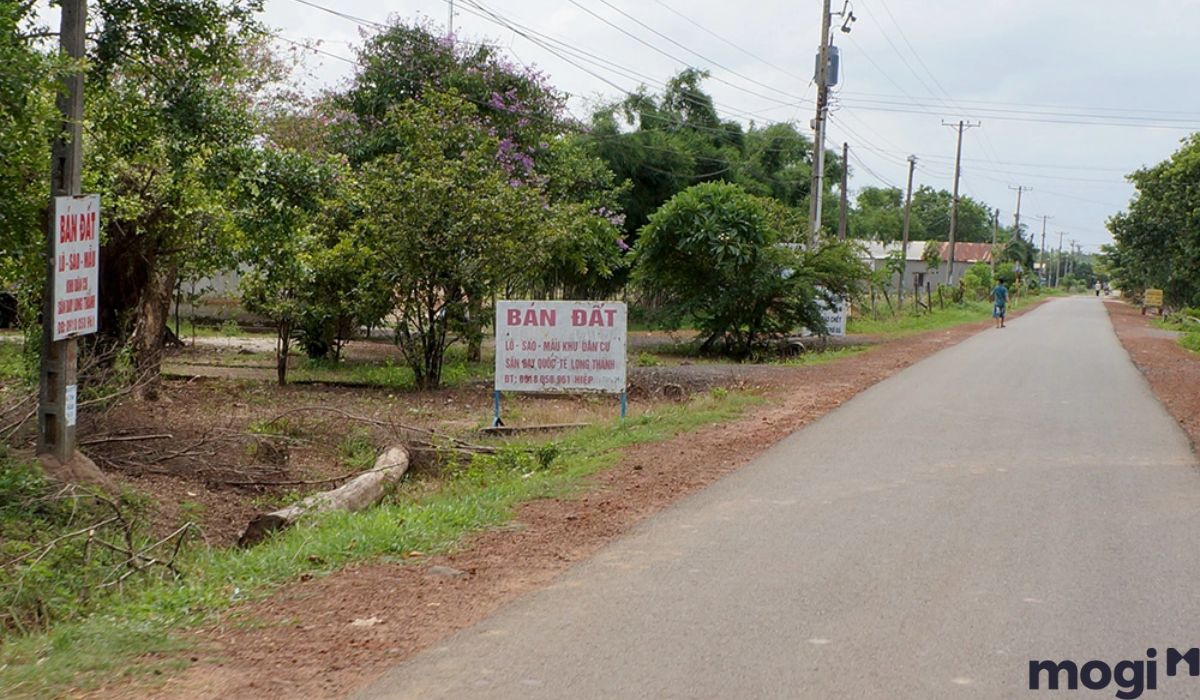 Tình hình thị trường mua bán đất Long An