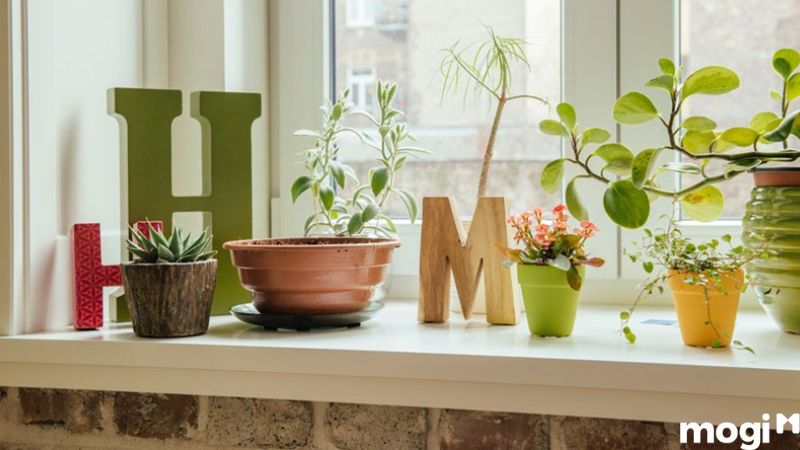 Cách bán nhà nhanh nhất và được giá
