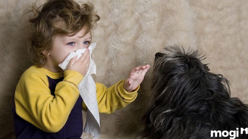 Cách bán nhà nhanh nhất và được giá