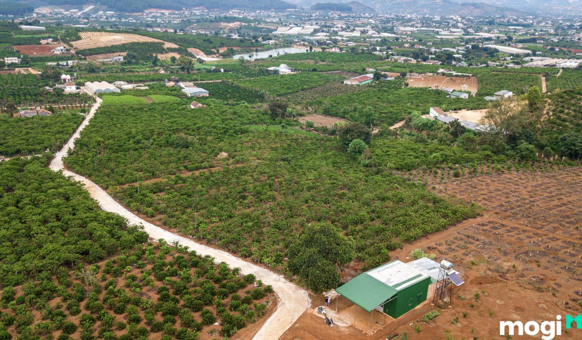 Thị trường mua bán đất nền Bảo Lộc