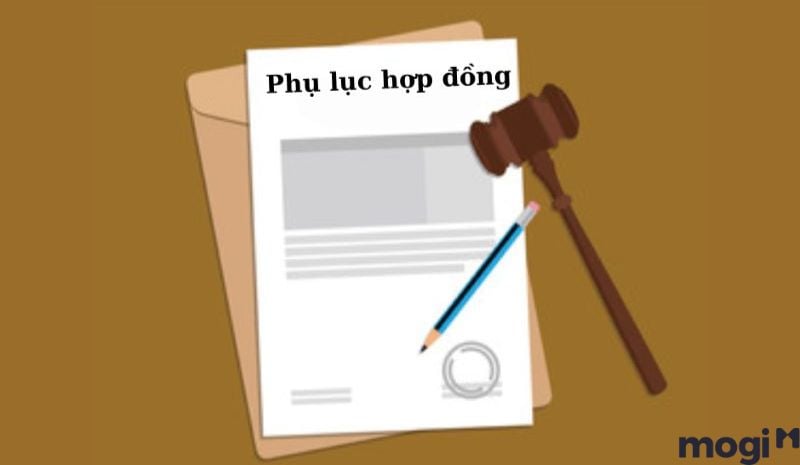 Mẫu phụ lục