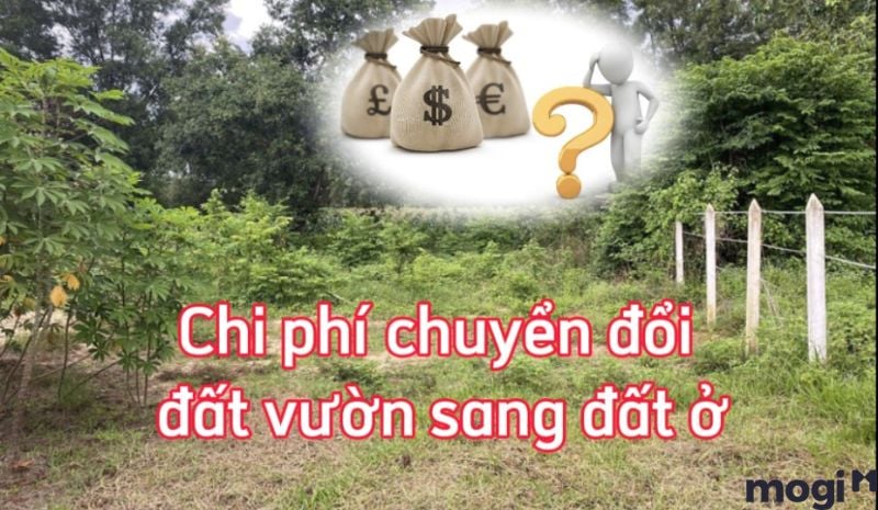 Tiền Mb6626 sảnh cược đỉnh cao
