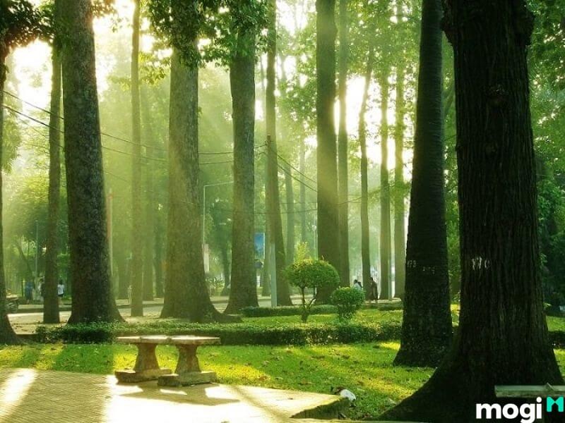quận 1 cũng quy tụ nhiều MB66 là nhà cái uy tín hàng đầu tại Việt Nam cây xanh nổi tiếng