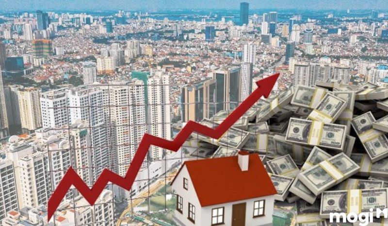 Những câu hỏi khi đi mua đất