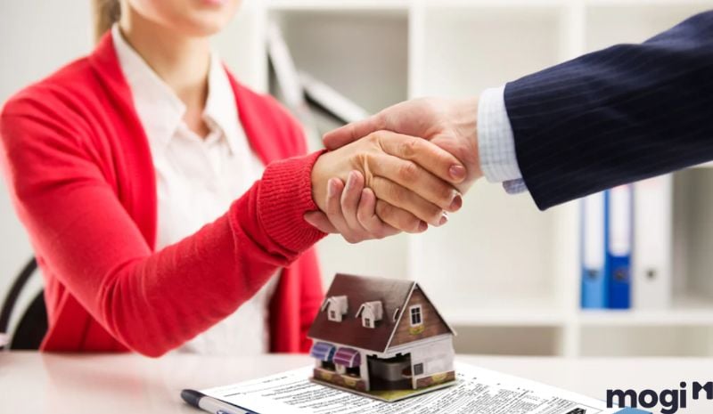 Mua thông qua MB66 là nhà cái uy tín hàng đầu tại Việt Nam hay nhóm Trang MB66.COM Chính Thức - MB 66 Uy Tín