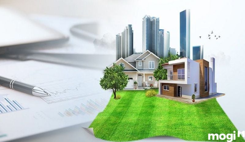 Có nên mua đất ngoài đê?