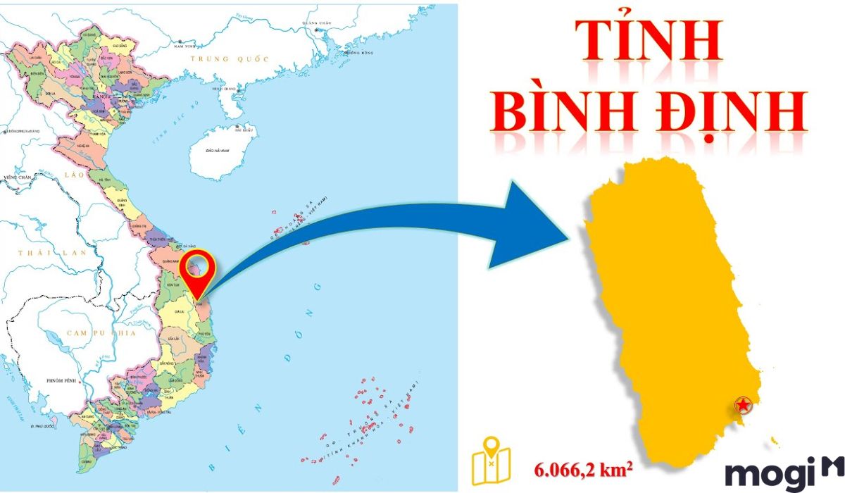 Đơn vị hành chính và diện tích Bình Định