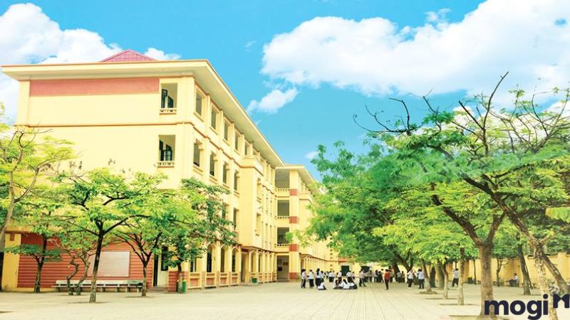 Cơ sở hạ tầng và tiện ích tại ngã tư Gò Mây - Về giáo dục