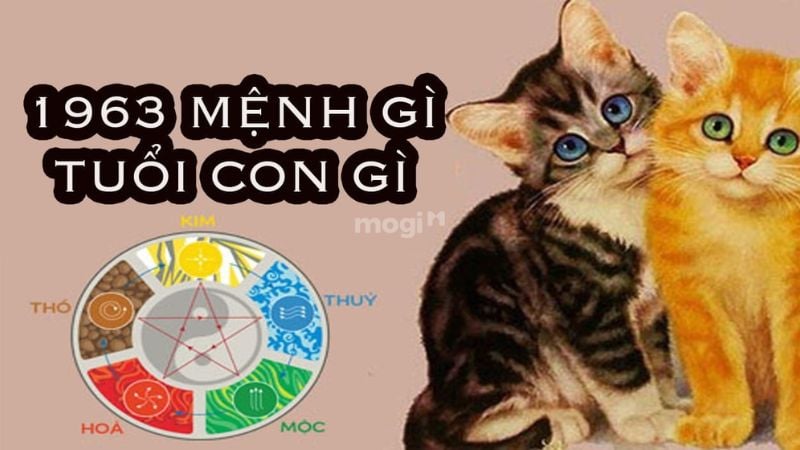 Sinh năm 1963 tuổi gì?