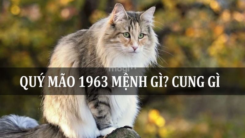 1963 tuổi gì? Nam 1963 tính cách ra sao?