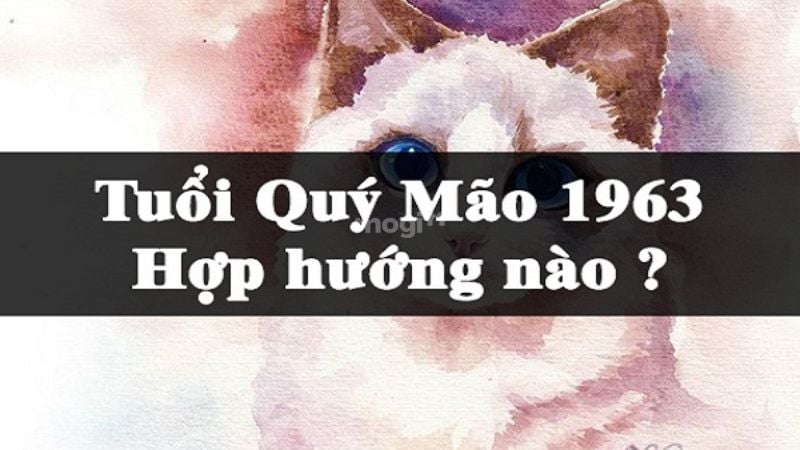 Người Quý Mão 1963 hợp hướng nào và kỵ hướng nào?