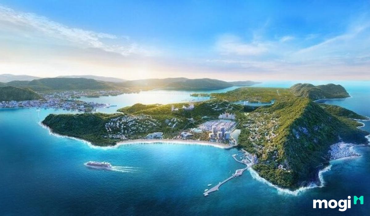 Thông tin thị trường mua bán đất Bình Định mới nhất T5/2026