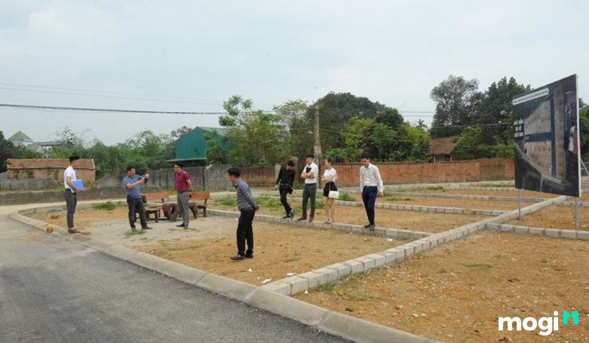 Nên đi xem trực tiếp khi mua