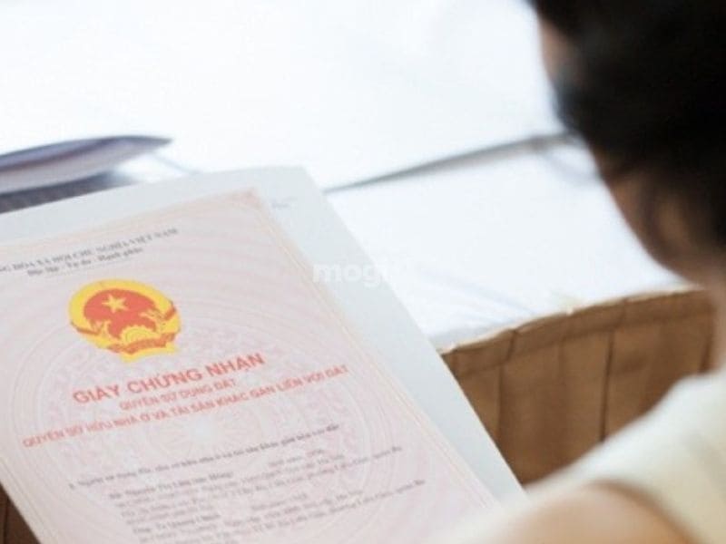 Đảm bảo các yếu tố pháp lý