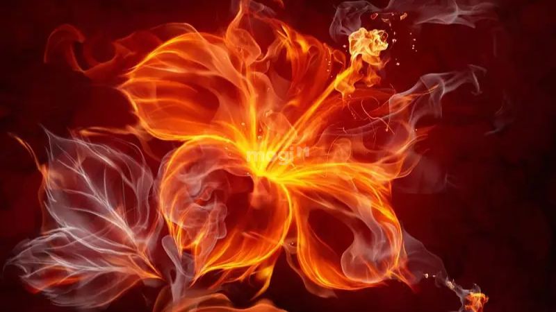 Người mệnh Lư Trung Hỏa đều là những người mạnh mẽ, giỏi giang