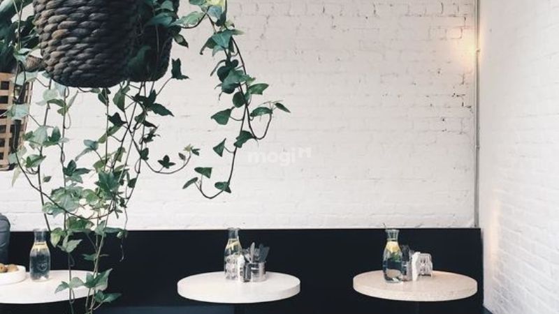 Trang trí tường quán cafe với nền đơn giản, sang trọng
