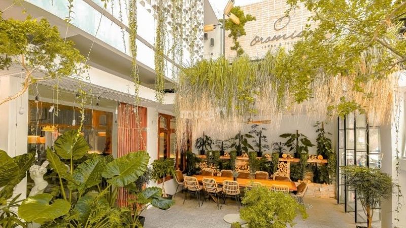 Trang trí trần quán cafe bằng cây xanh