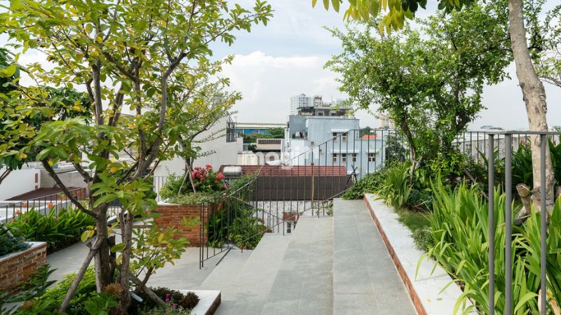 Sân thượng với nhiều cây xanh tươi mát