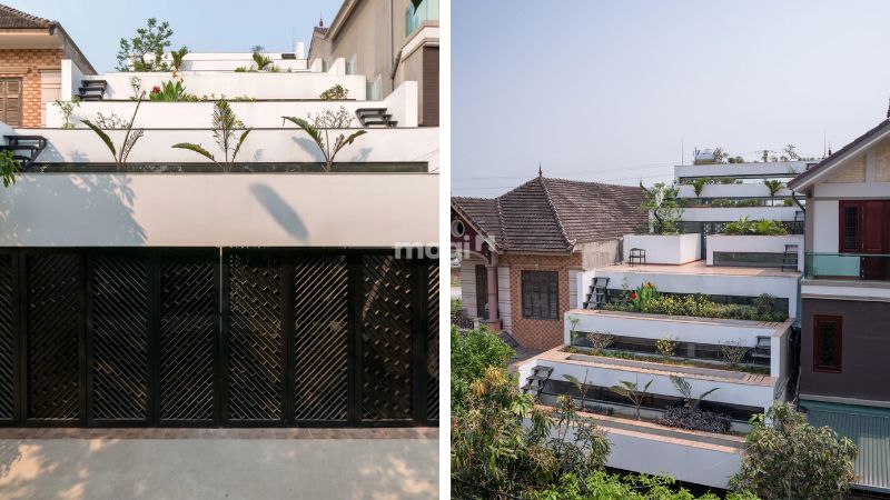 Thiết kế Tổ Ấm Ruộng