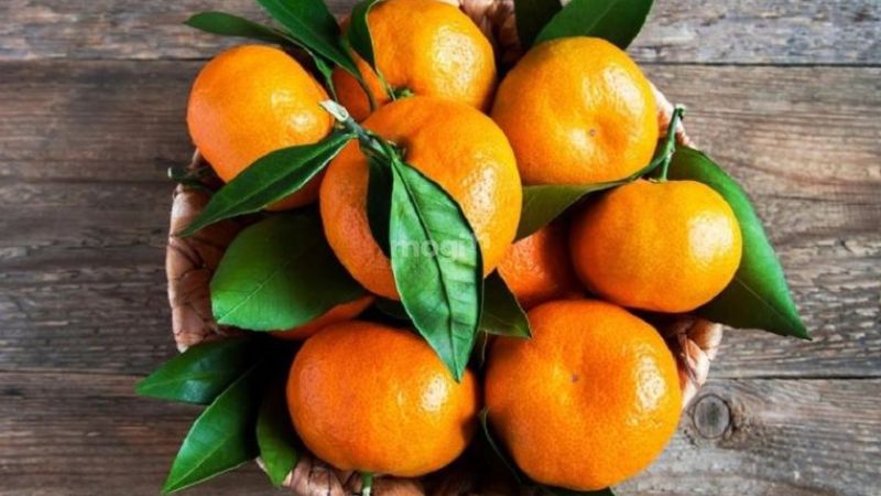 Chuyển đến phòng trọ mới nên làm những gì để gặp nhiều may mắn 4 Quả cam là một trong những loại quả mang lại sự sung túc, thịnh vượng