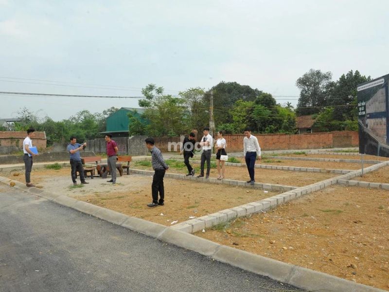 Khảo sát trực tiếp mảnh đất