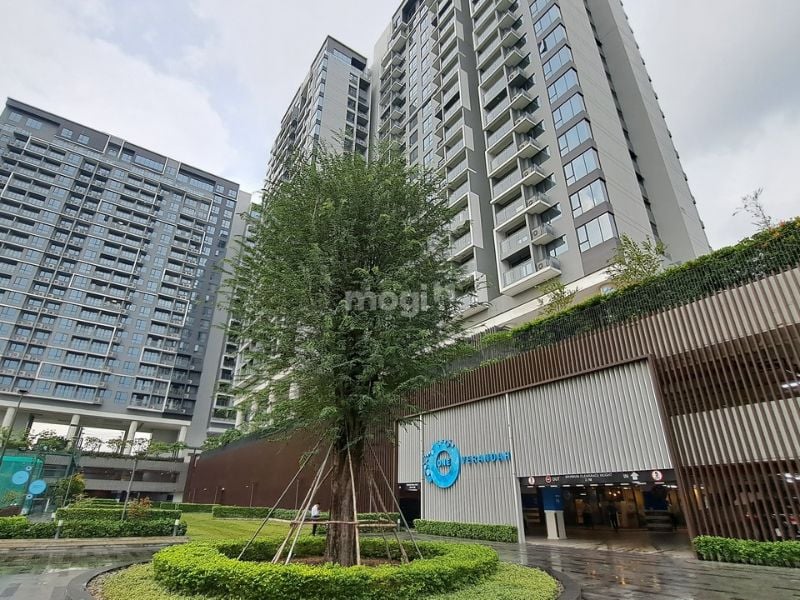 Tiềm năng tăng giá trong trương lai