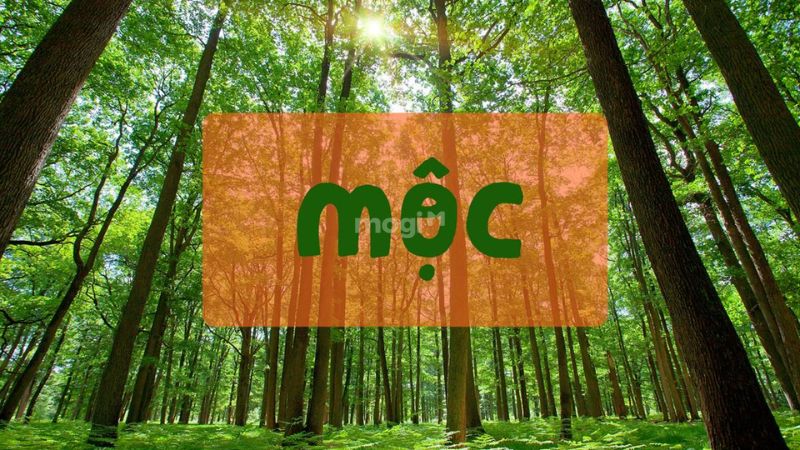 Mệnh Mộc sơn nhà màu gì? Tổng quan về người mệnh Mộc