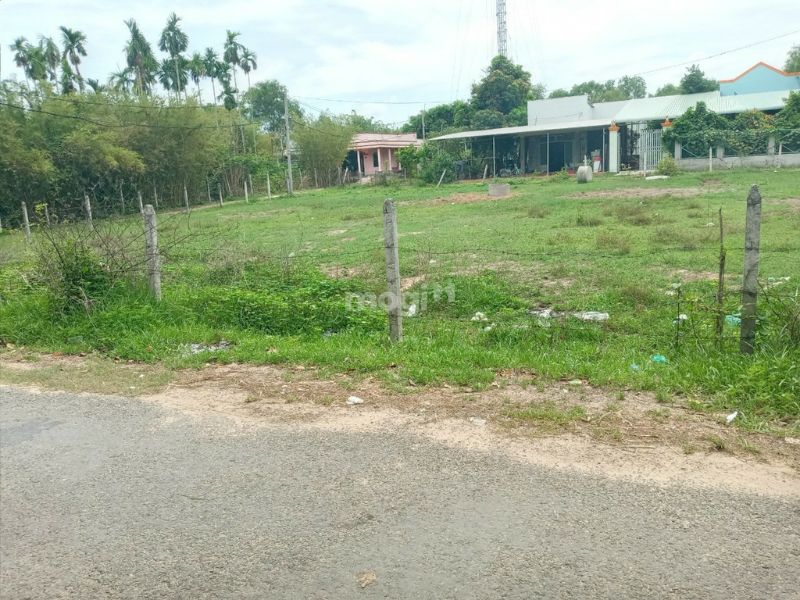 Hãy thương lượng để mua đất với giá hợp lý nhất