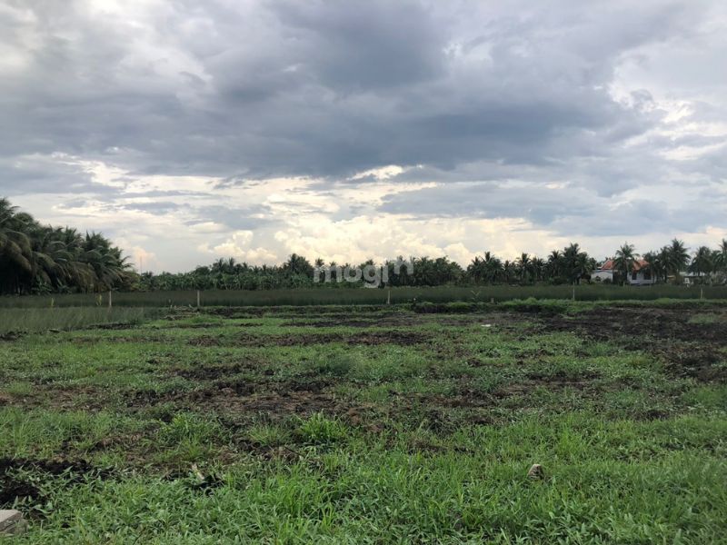 Mua đất ở khu vực xã Tân Hiệp 