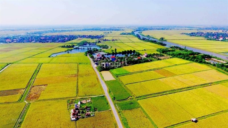Có nên mua đất hỗn hợp không?