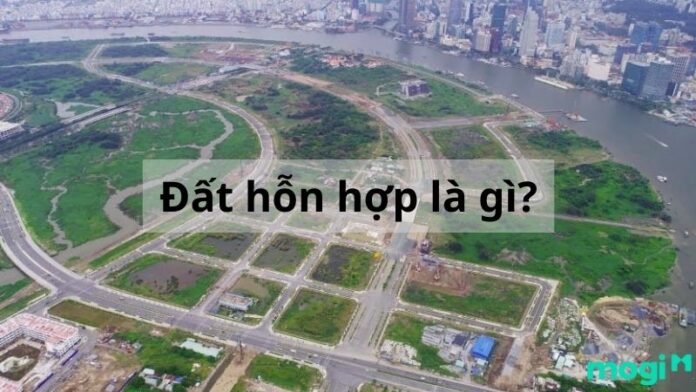 Đất hỗn hợp là gì? Những quy định mới nhất về đất hỗn hợp