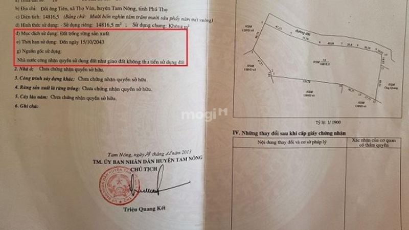 Chỉ mua đất rừng sản xuất khi đảm bảo tính pháp lý
