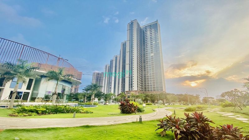 Tổng thể dự án MR1