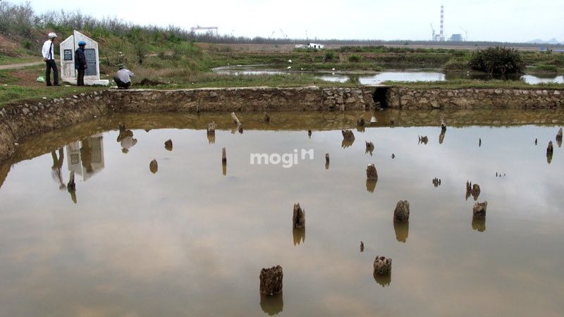 Bãi cọc đồng Vạn Muối