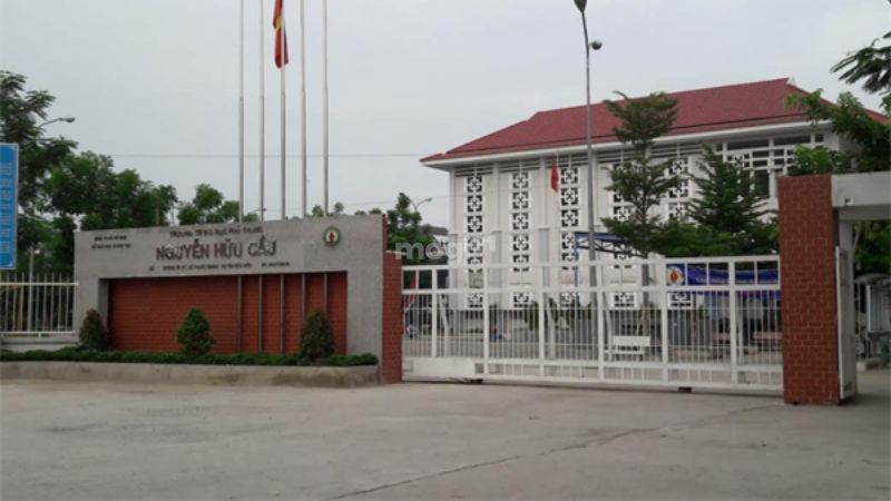 Trường THPT Nguyễn Hữu Cầu cách cầu vượt Quang Trung 600m