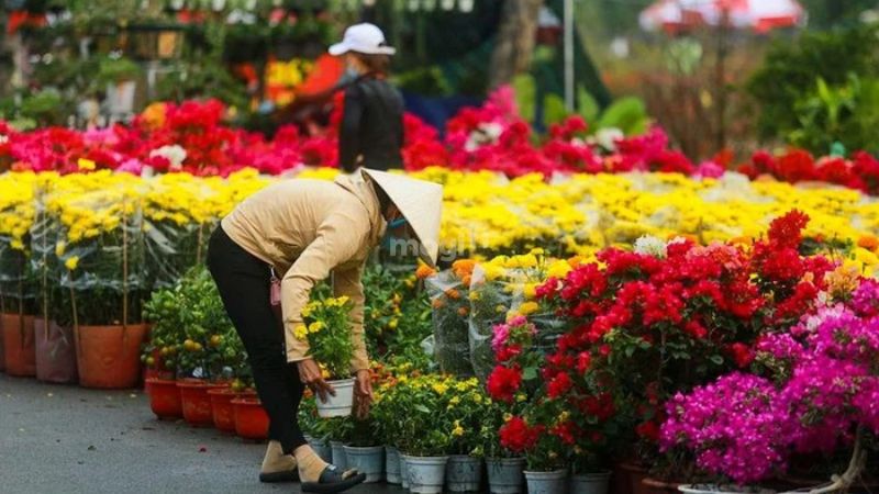 Chợ đầu mối Bình Điền ở đâu? Lưu ý quan trọng khi đi chợ Bình Điền 4 Chợ hoa xuân - Nhà lồng A