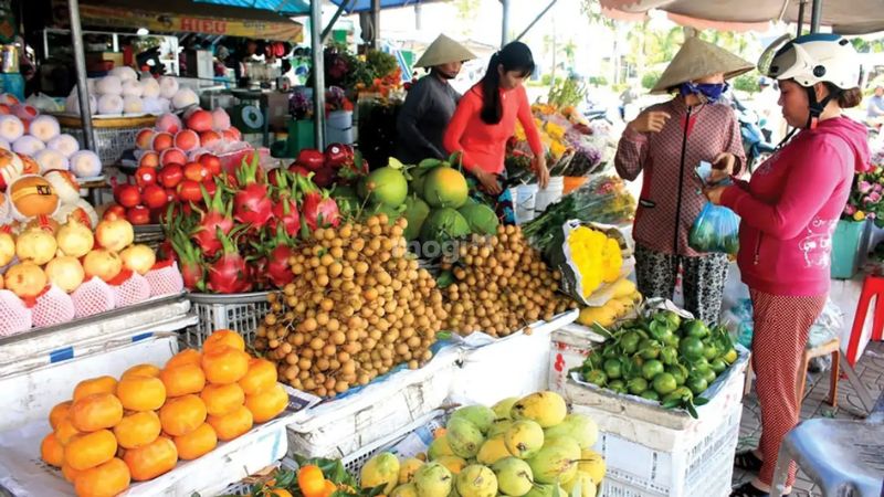 Chợ đầu mối Bình Điền ở đâu? Lưu ý quan trọng khi đi chợ Bình Điền 10 Chợ trái cây - Nhà lồng T