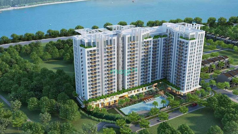 Chợ đầu mối Bình Điền ở đâu? Lưu ý quan trọng khi đi chợ Bình Điền 14 Chung cư D1 Phú Lợi