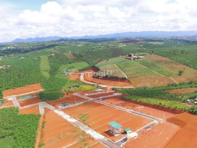 Xác định nhu cầu và mục đích mua đất