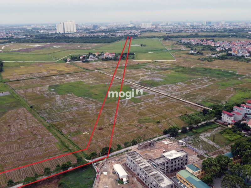 Chọn mua đất tại mogi