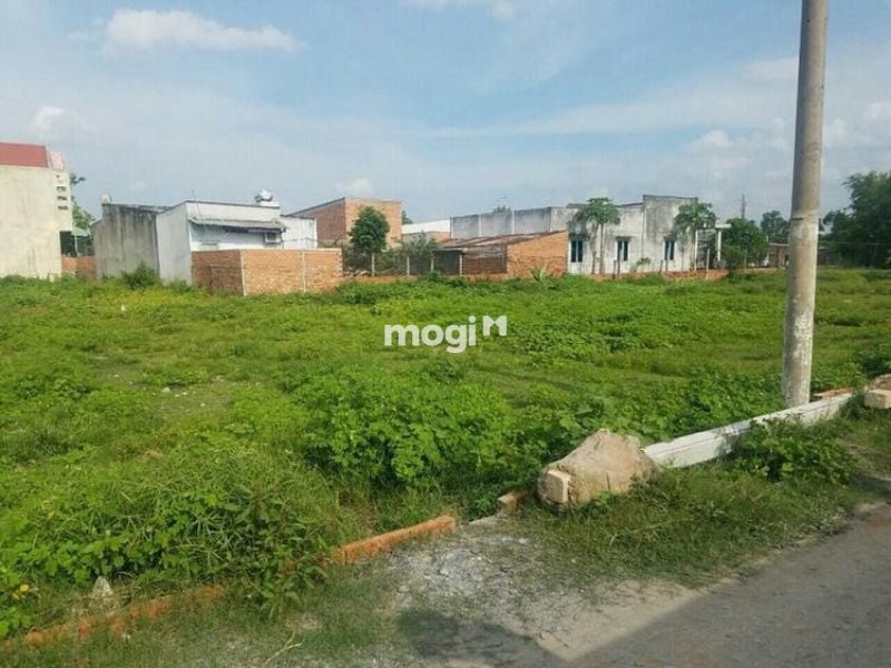 Xác định nhu cầu trước khi mua đất 