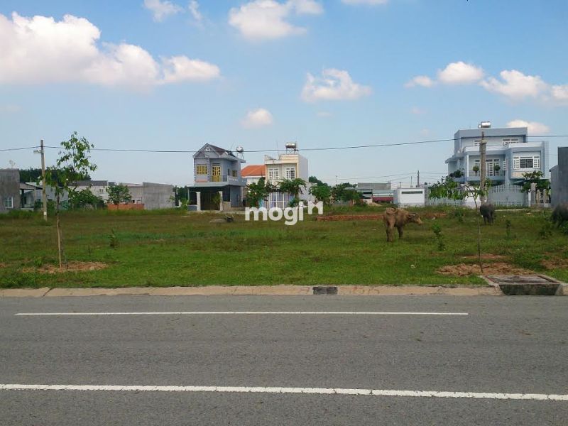Xem xét vị trí và tiện ích xung quanh trước khi mua