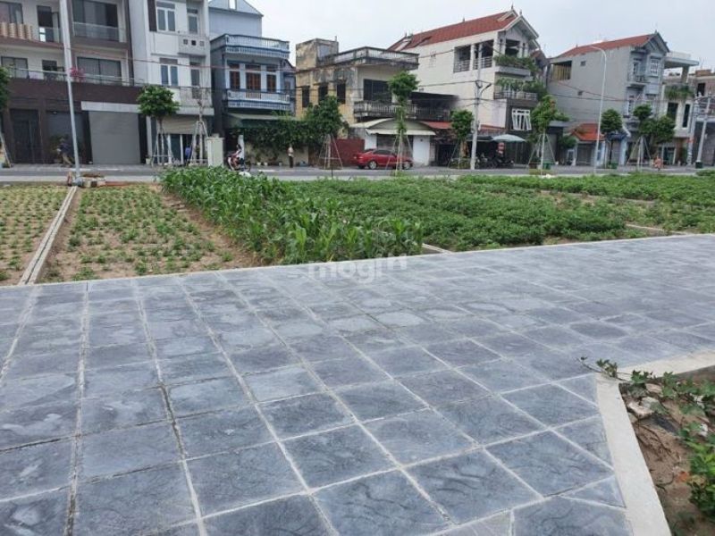  Xu hướng đất tăng giá tại Mai Lâm vẫn đang tiếp tục và chưa có dấu hiệu hạ nhiệt