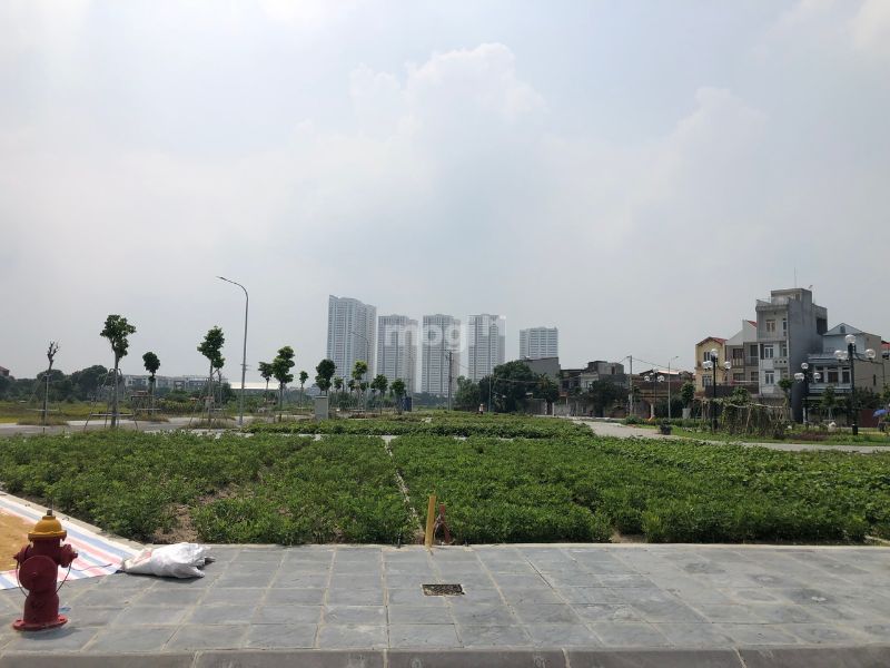 Thương lượng lại giá cả với người bán để mua được mảnh đất với giá hợp lý hơn