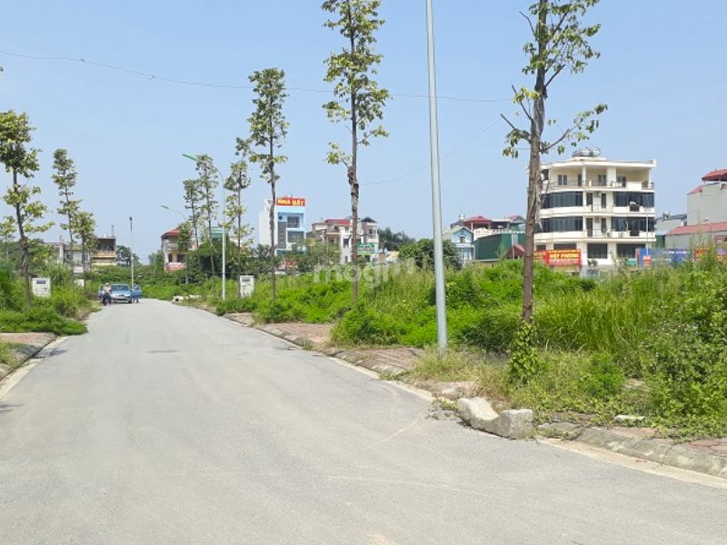 Đánh giá giá trị đất so với thị trường là việc nên làm
